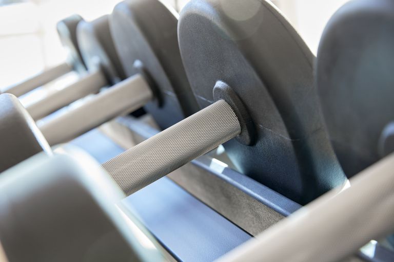 Kurzhanteln liegen nebeneinander auf einem Ständer, Griffe sichtbar, helle Fitnessstudio-Umgebung mit Tageslicht.