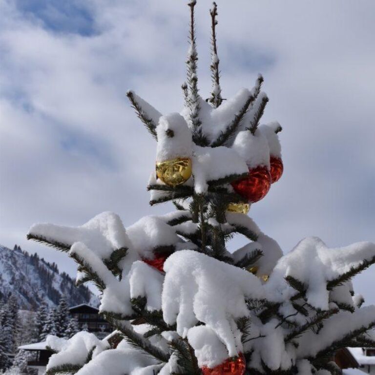 Tannenspitze mit roten und goldenen Christbaumkugeln, Zweige von Schnee beschwert, vor verschneiten Bergen.